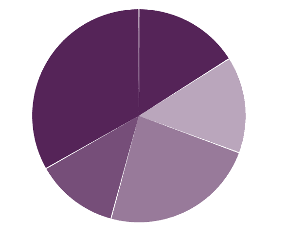 Pie chart with colors